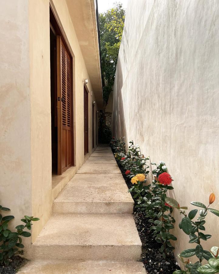 Bajo Las Hojas Campeche Buitenkant foto